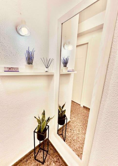 Citadella Apartment Sagunto Exteriér fotografie