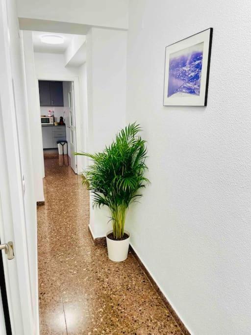 Citadella Apartment Sagunto Exteriér fotografie